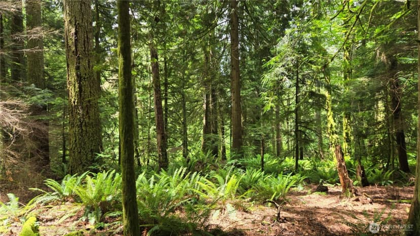 Property photo for 273 Xx Se 150th Street, Issaquah photo 22