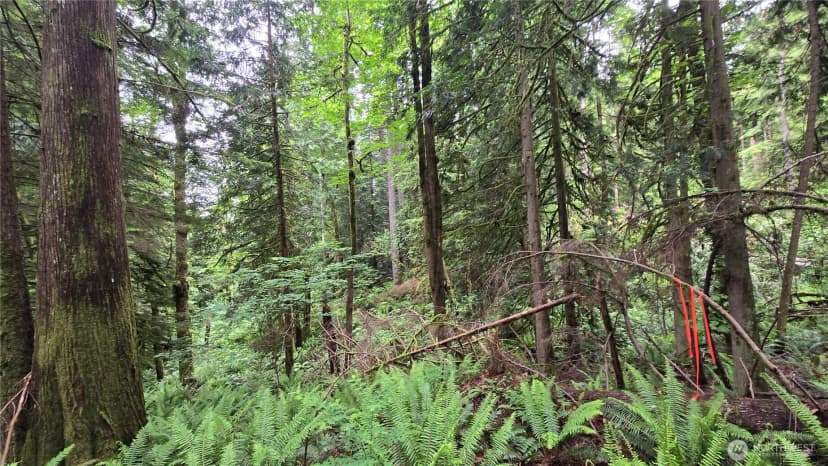 Property photo for 273 Xx Se 150th Street, Issaquah photo 6