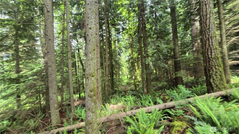 Property photo for 273 Xx Se 150th Street, Issaquah photo 16