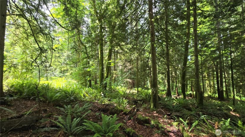 Property photo for 273 Xx Se 150th Street, Issaquah photo 24