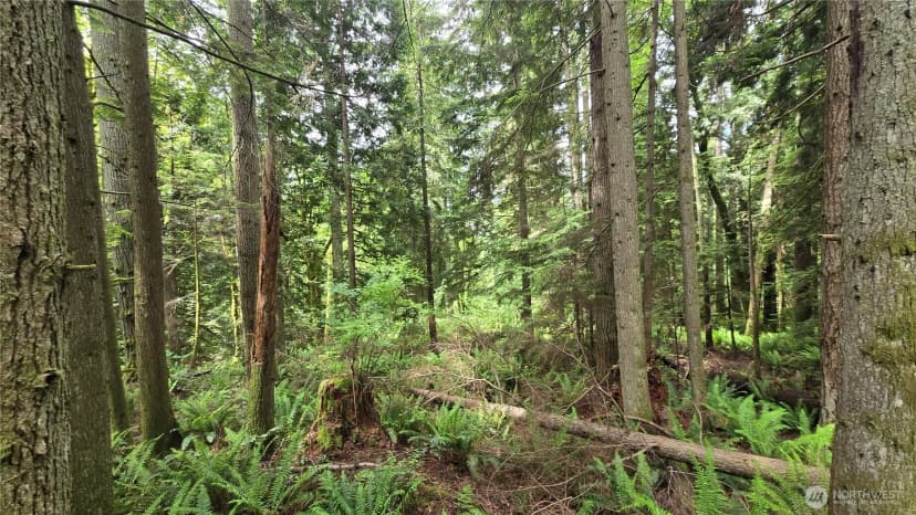 Property photo for 273 Xx Se 150th Street, Issaquah photo 17