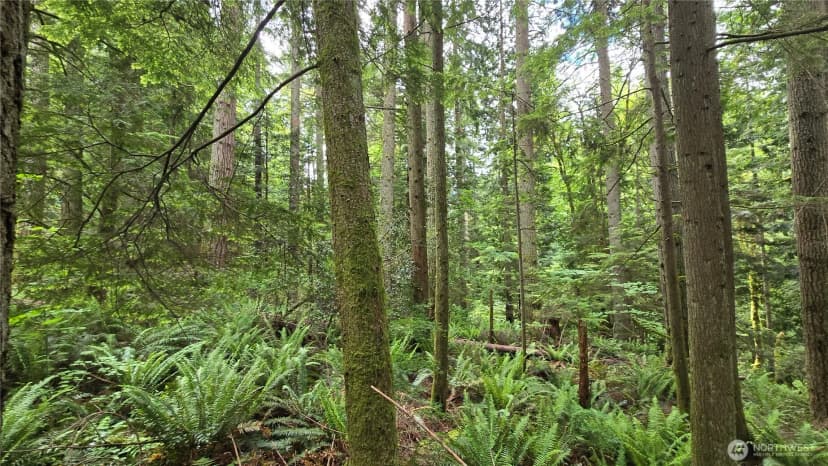 Property photo for 273 Xx Se 150th Street, Issaquah photo 12