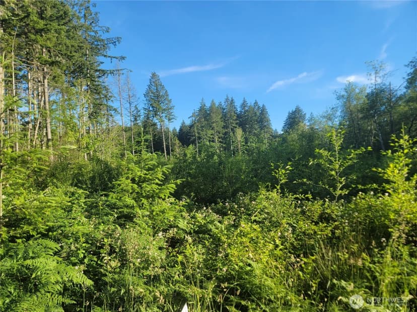 Property photo for 2 Lot 156th Avenue Sw, Lakebay photo 10