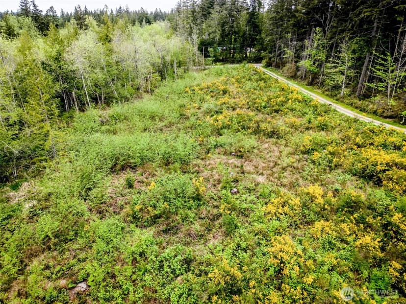 Property photo for 2 Lot 156th Avenue Sw, Lakebay photo 8