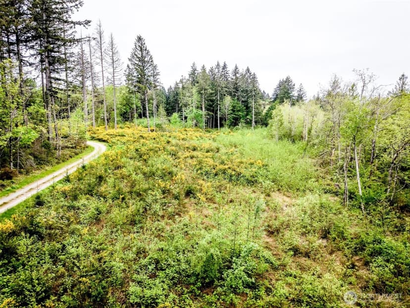 Property photo for 2 Lot 156th Avenue Sw, Lakebay photo 7