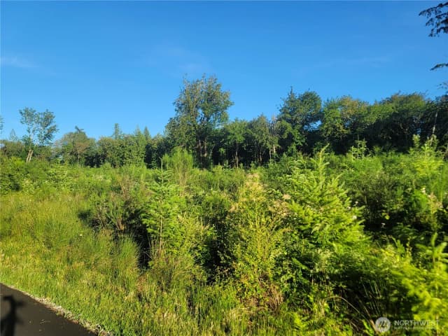 Property photo for 4 Lot 9th Street Sw, Lakebay photo 2
