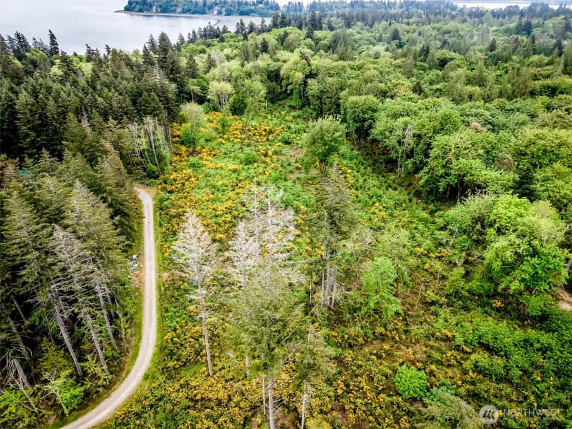 Property photo for 4 Lot 9th Street Sw, Lakebay photo 4