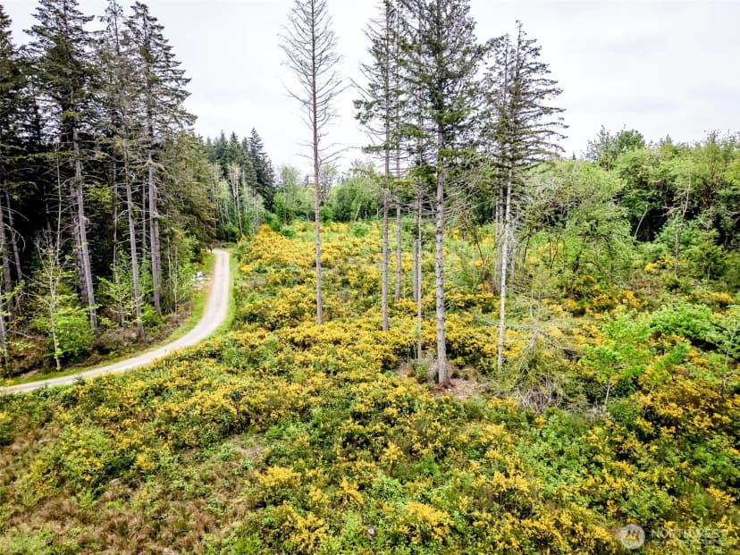 Property photo for 4 Lot 9th Street Sw, Lakebay photo 11