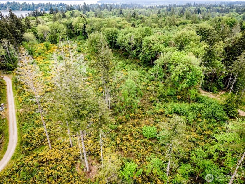 Property photo for 4 Lot 9th Street Sw, Lakebay photo 7