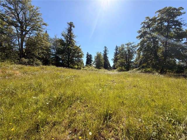Property photo for 10252 400th Street E, Eatonville photo 5