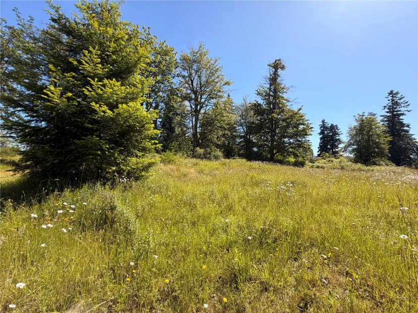Property photo for 10252 400th Street E, Eatonville photo 3