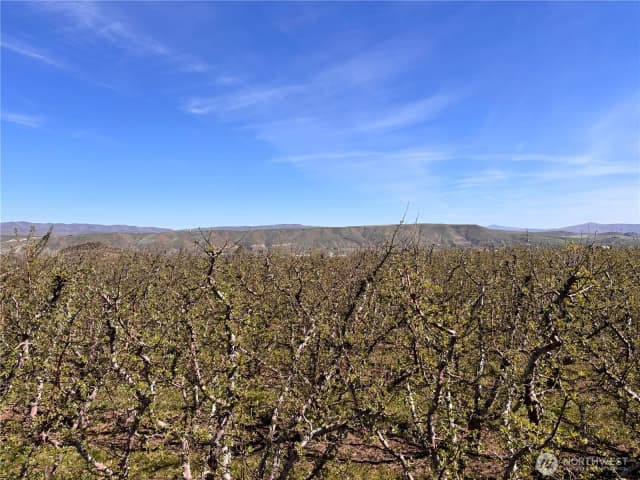 Property photo for 0 Rosenkranze Road, Tieton photo 3