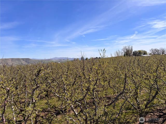Property photo for 0 Rosenkranze Road, Tieton photo 4