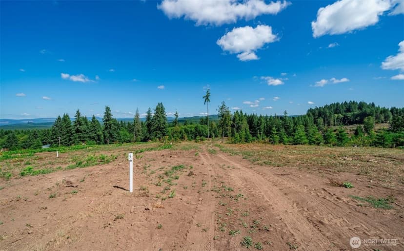 Property photo for 0 S Silver Lake Lot#5 Road, Castle Rock photo 6