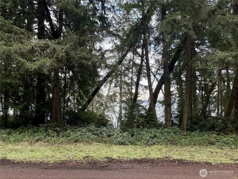 Property photo for 10111 Totem Way, Anderson Island photo 15