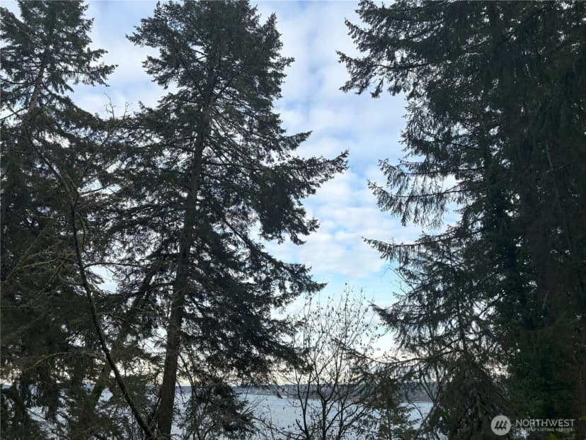 Property photo for 10111 Totem Way, Anderson Island photo 18