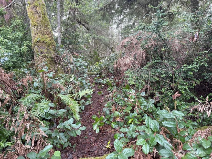 Property photo for 10111 Totem Way, Anderson Island photo 17
