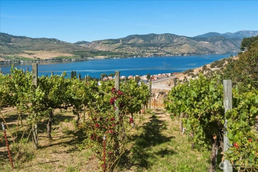 Property photo for 104 Orchard View Drive, Chelan photo 30