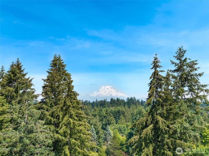 Property photo for 1225 Kiely Drive Se, Olympia photo 37