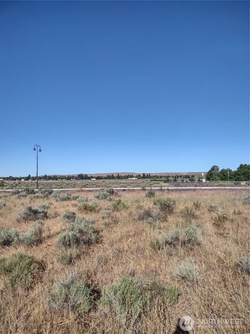 Property photo for 718 S Division, Soap Lake photo 4