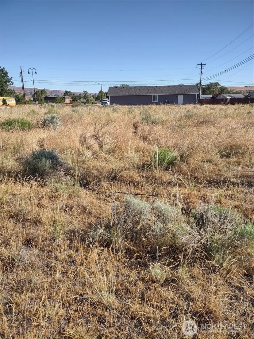 Property photo for 0 S Division Street, Soap Lake photo 7