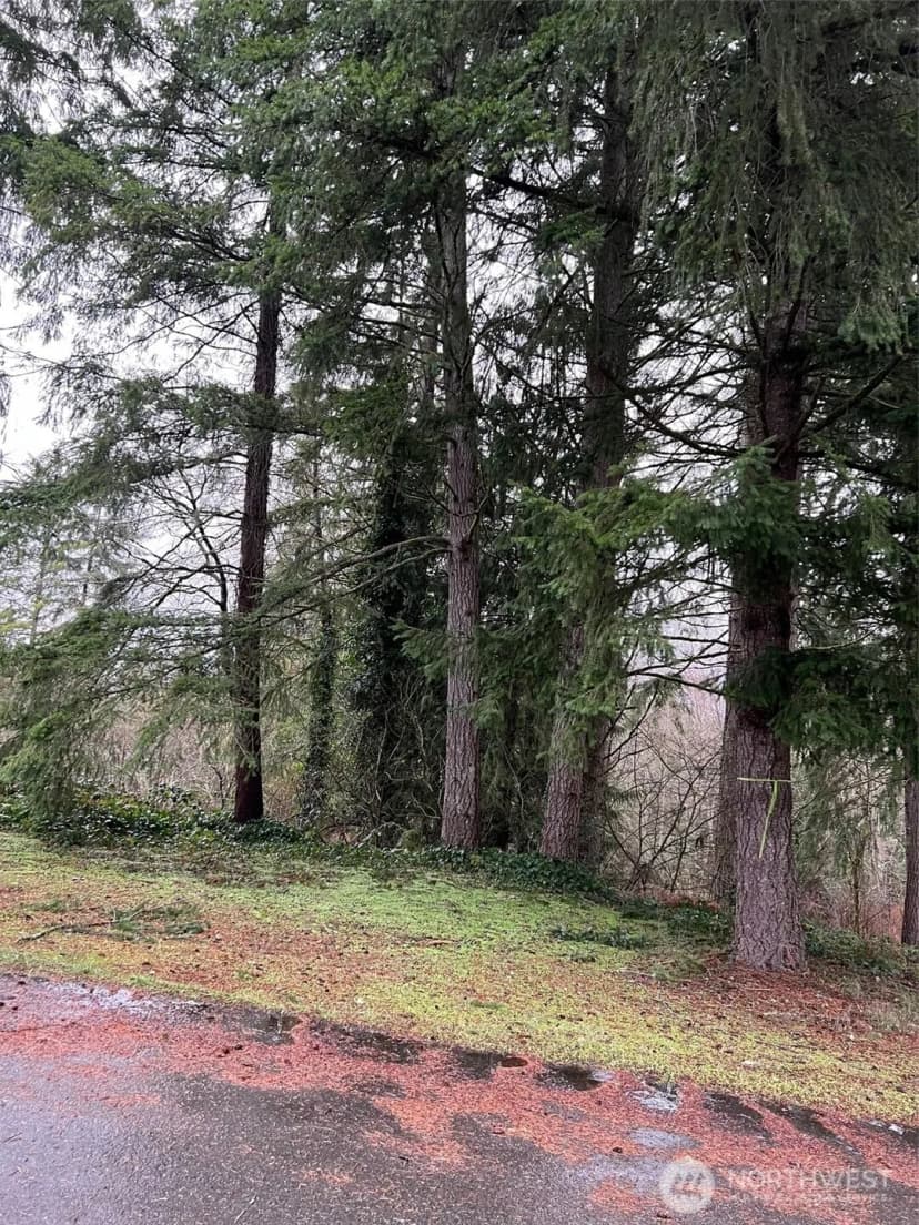 Property photo for 186 Xx Ne 161st Place, Woodinville photo 6