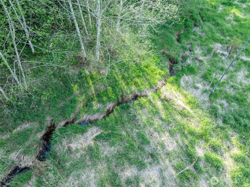 Property photo for 0 Davis Lake Road, Morton photo 13