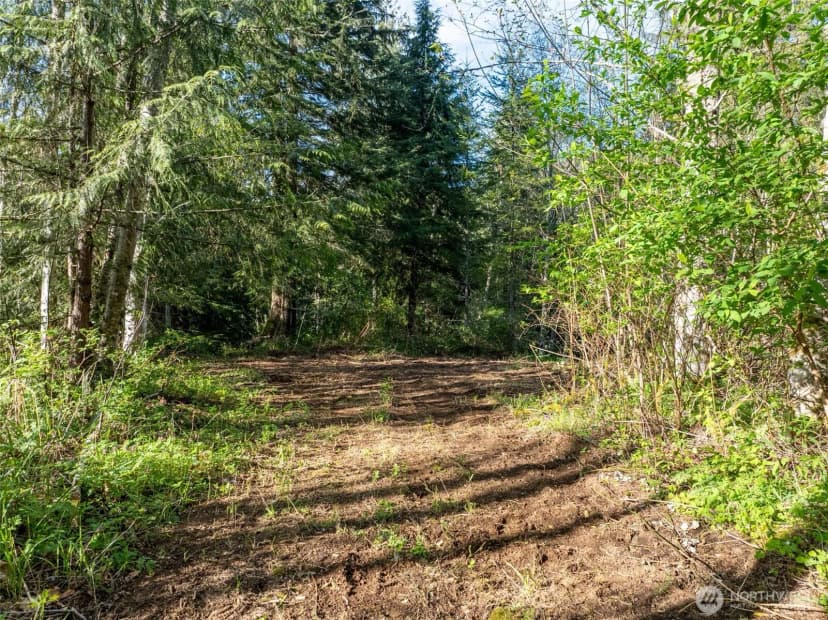 Property photo for 0 Davis Lake Road, Morton photo 17
