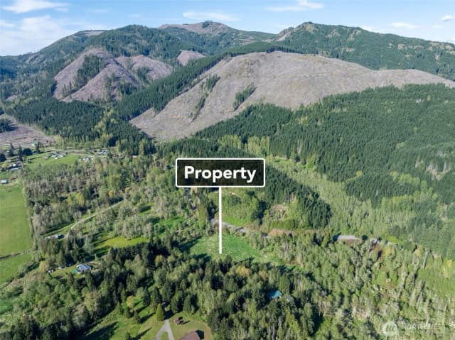 Property photo for 0 Davis Lake Road, Morton photo 3