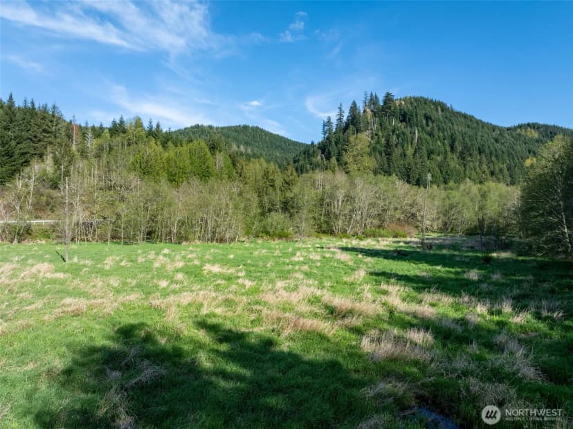 Property photo for 0 Davis Lake Road, Morton photo 8