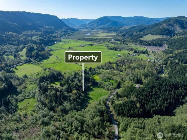Property photo for 0 Davis Lake Road, Morton photo 4