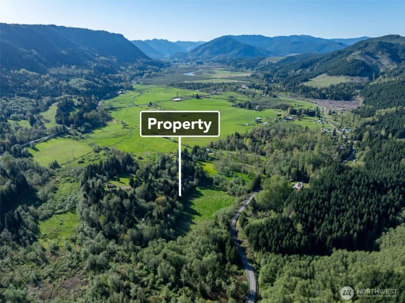 Property photo for 0 Davis Lake Road, Morton photo 4