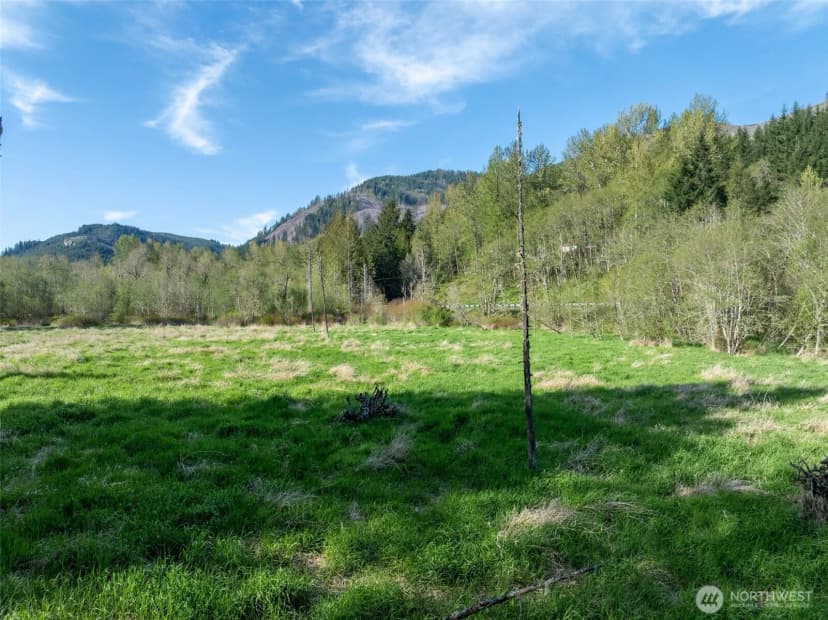 Property photo for 0 Davis Lake Road, Morton photo 14