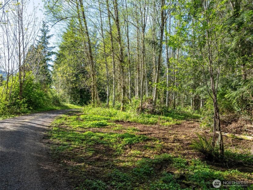 Property photo for 0 Davis Lake Road, Morton photo 16