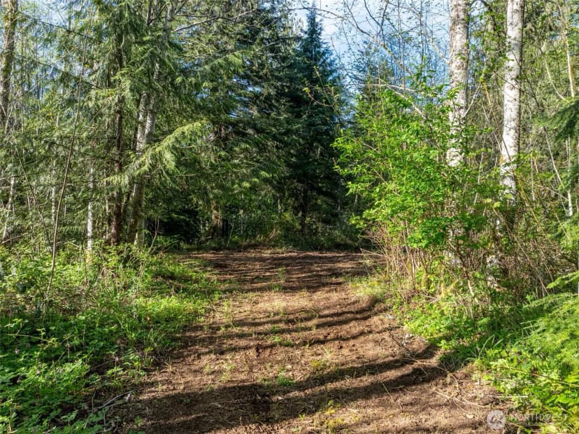 Property photo for 0 Davis Lake Road, Morton photo 15
