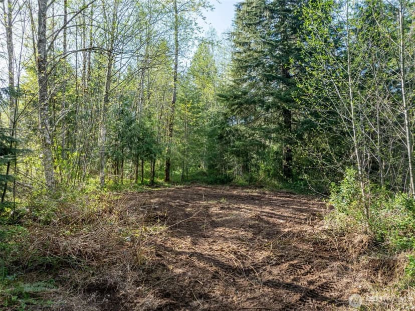 Property photo for 0 Davis Lake Road, Morton photo 21