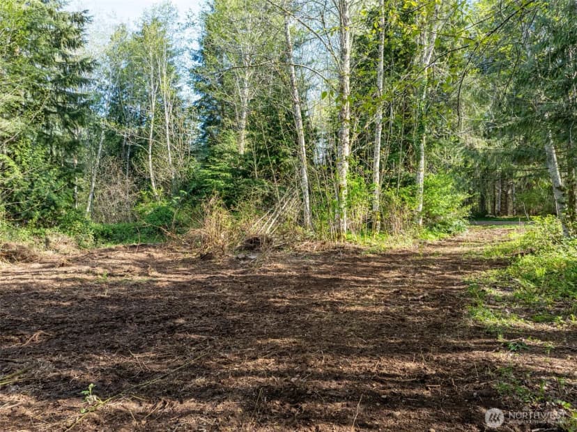 Property photo for 0 Davis Lake Road, Morton photo 19