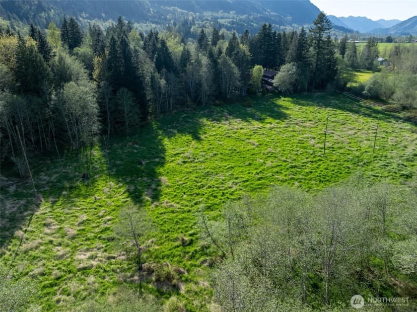 Property photo for 0 Davis Lake Road, Morton photo 10
