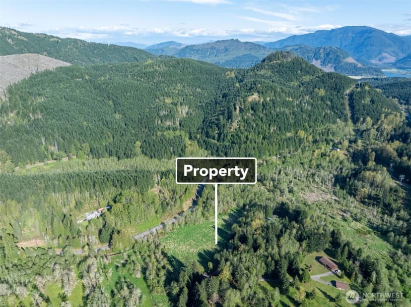 Property photo for 0 Davis Lake Road, Morton photo 7