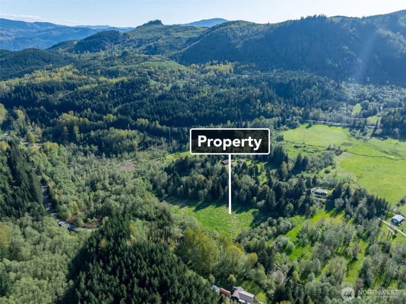 Property photo for 0 Davis Lake Road, Morton photo 5