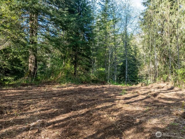 Property photo for 0 Davis Lake Road, Morton