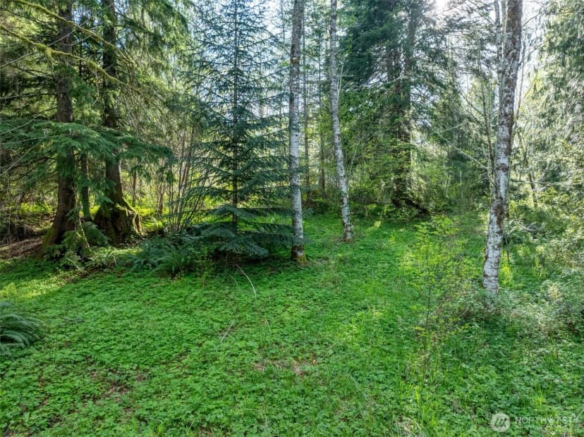 Property photo for 0 Davis Lake Road, Morton photo 23