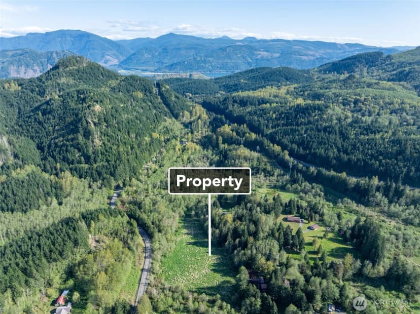Property photo for 0 Davis Lake Road, Morton photo 6