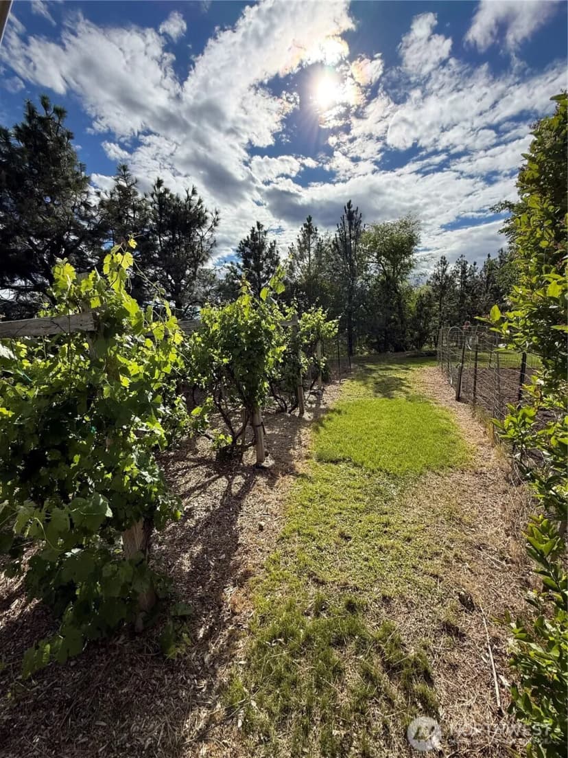 Property photo for 24 Valley View Drive, Omak photo 6