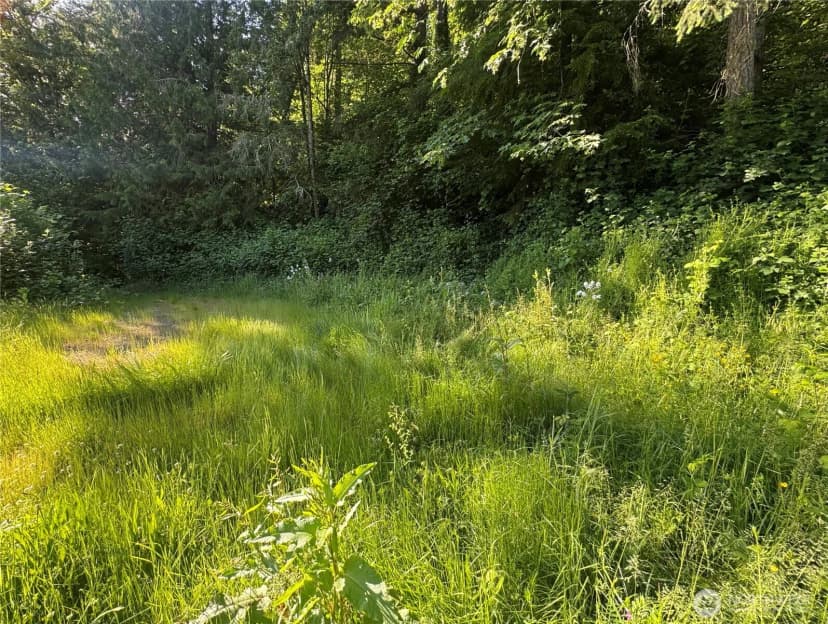 Property photo for 22728 Upper Dorre Don Way Se, Maple Valley photo 4