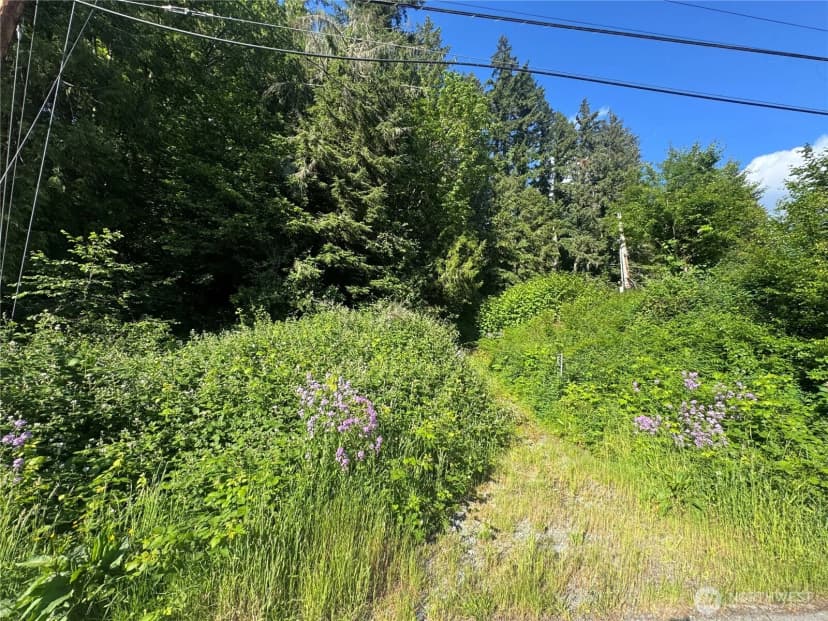 Property photo for 22728 Upper Dorre Don Way Se, Maple Valley photo 6