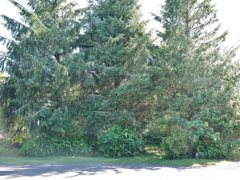 Property photo for 223 Muskrat Court Sw, Ocean Shores