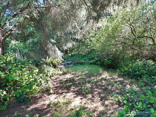 Property photo for 223 Muskrat Court Sw, Ocean Shores photo 3