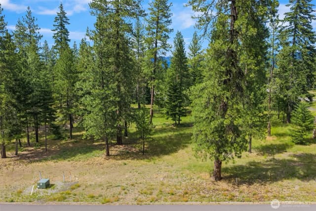 Property photo for 51 Domerie Park Loop, Cle Elum photo 5