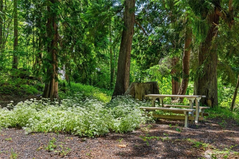 Property photo for 22122 Se 51st Place, Issaquah photo 9